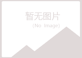 汪清县夏日咨询有限公司